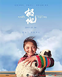 奥斯汀书会 封面图